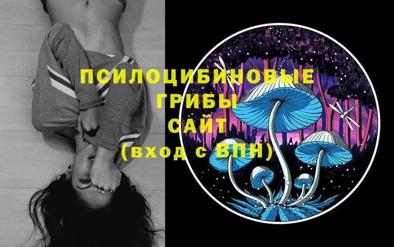 Псилоцибиновые грибы Magic Shrooms  OMG ссылка  даркнет какой сайт  Красновишерск 